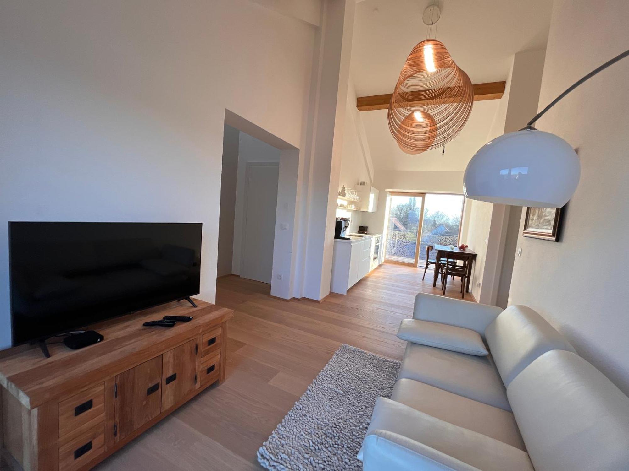 Villa Boris Starše Extérieur photo